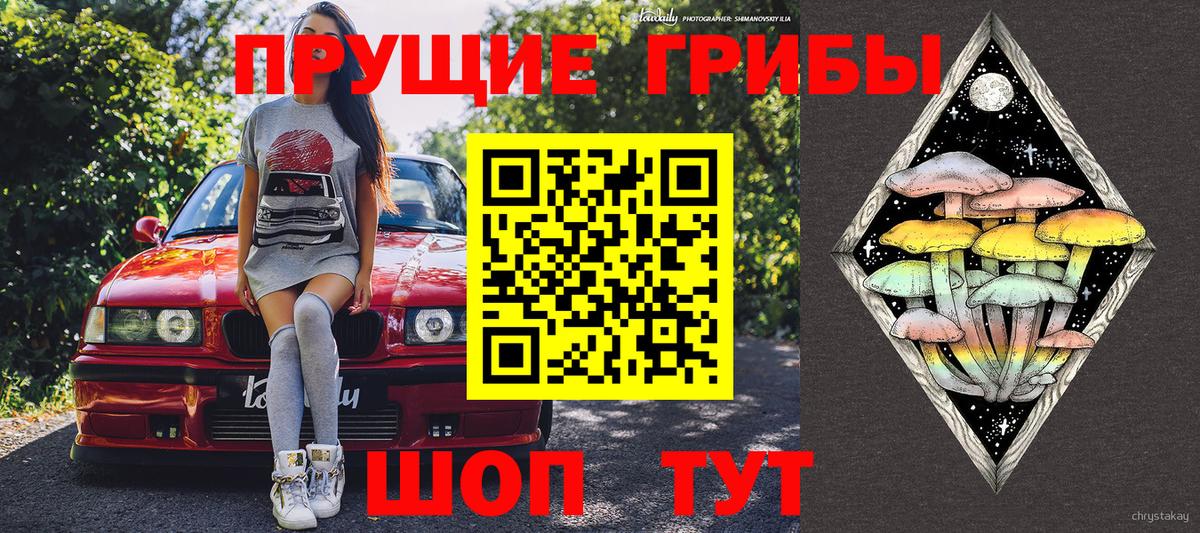 Псилоцибиновые грибы мицелий  Вход с VPN  Котельники 